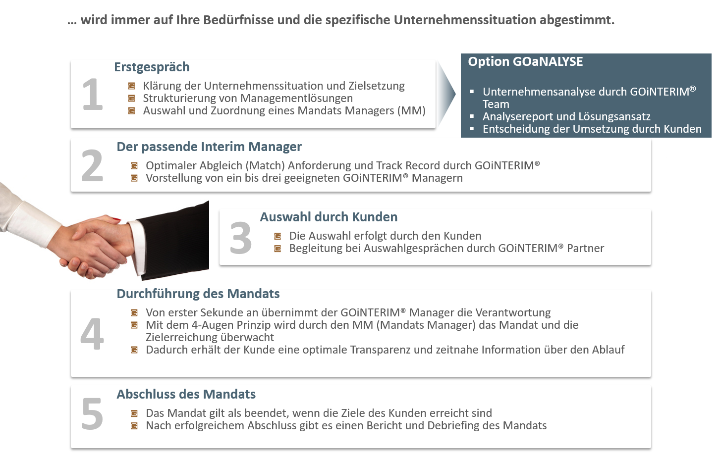 Interim Process Flow Project flow - GOiNTERIM
